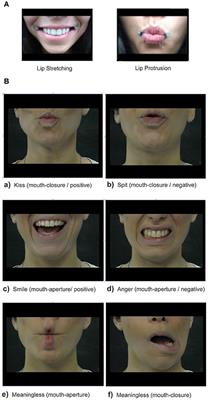 The Emotional Modulation of Facial Mimicry: A Kinematic Study